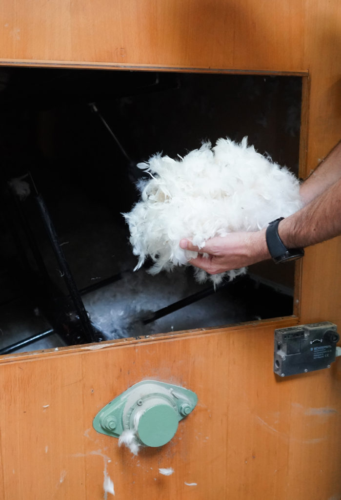 choisir un duvet d'oie de qualité